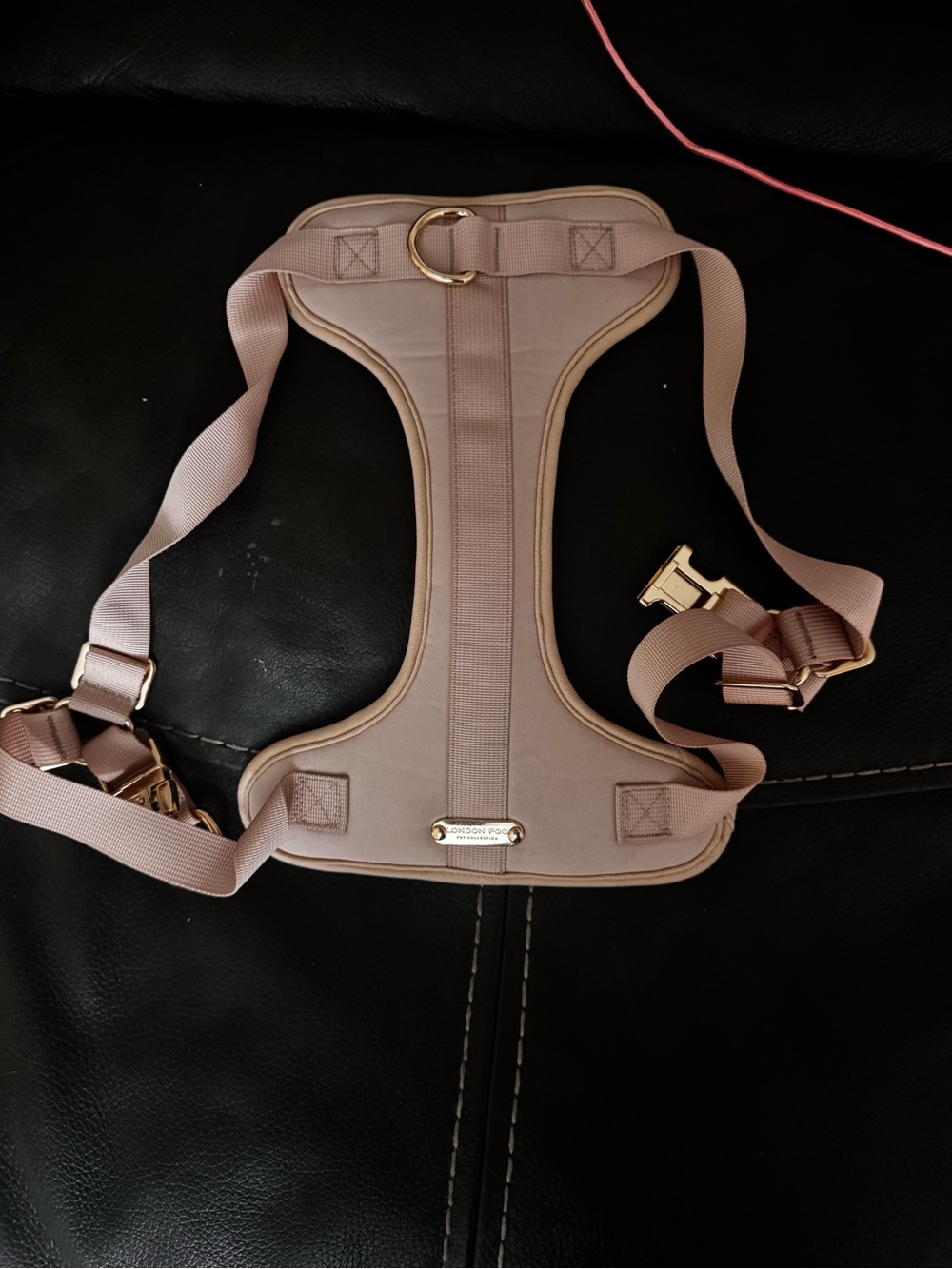 London Fog Nude Pink Harness with Gold Hardware